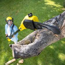 Best Tree Mulching Services  in Liberty, TX